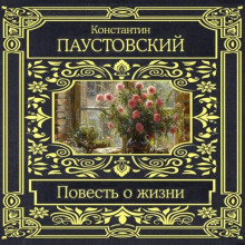 Повесть о жизни