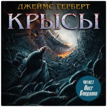 Крысы