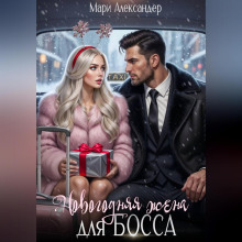 Новогодняя жена для босса
