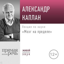 Лекция «Мозг на пределе»