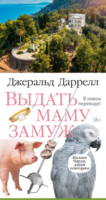 Выдать маму замуж