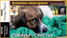 Собачье счастье