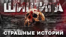 Шишига
