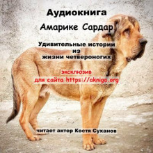 Удивительные истории из жизни четвероногих
