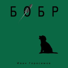 Бобр