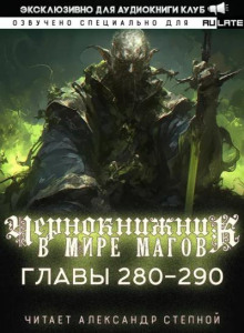 Чернокнижник в мире Магов 15