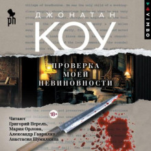 Проверка моей невиновности