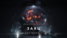 Заяц