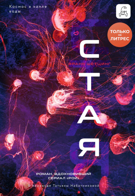 Стая