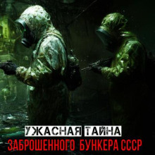 Тайна за стальной дверью