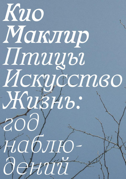 Птахи, мистецтво, життя: рік спостережень