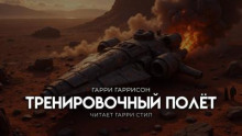 Тренировочный полёт