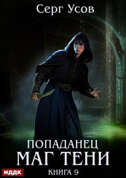 Попаданец. Маг Тени. Книга 9