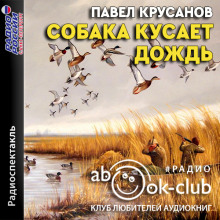 Собака кусает дождь