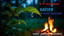 Капля