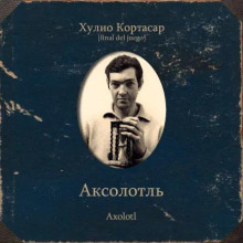 Аксолотль