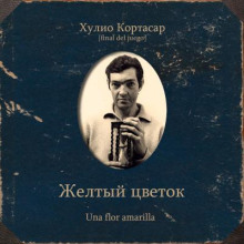 Желтый цветок