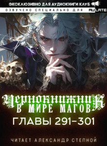 Чернокнижник в мире Магов 16